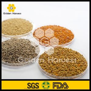 Phấn hoa tự nhiên 100%, phấn hoa tự nhiên